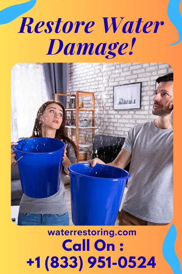 water restoration Silver Sewage Cleanup Pros Malcolm