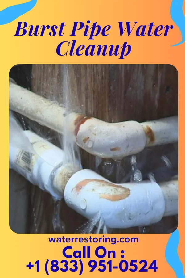 Burst Pipe Water Cleanup in Malcolm, NE