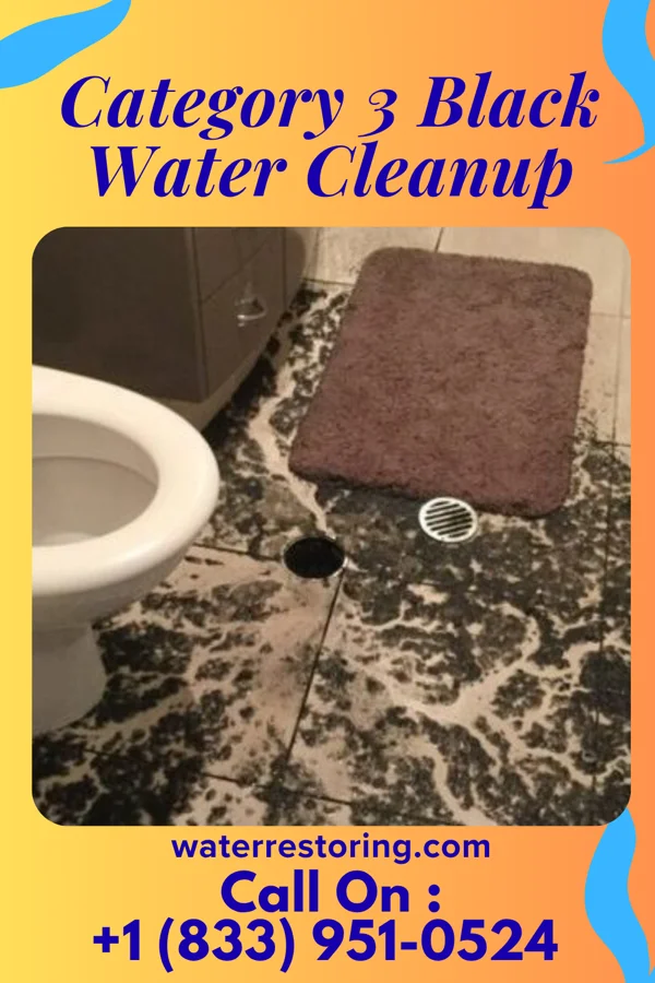 Category 3 Black Water Cleanup in Malcolm, NE